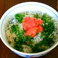 しらす丼　明太子風